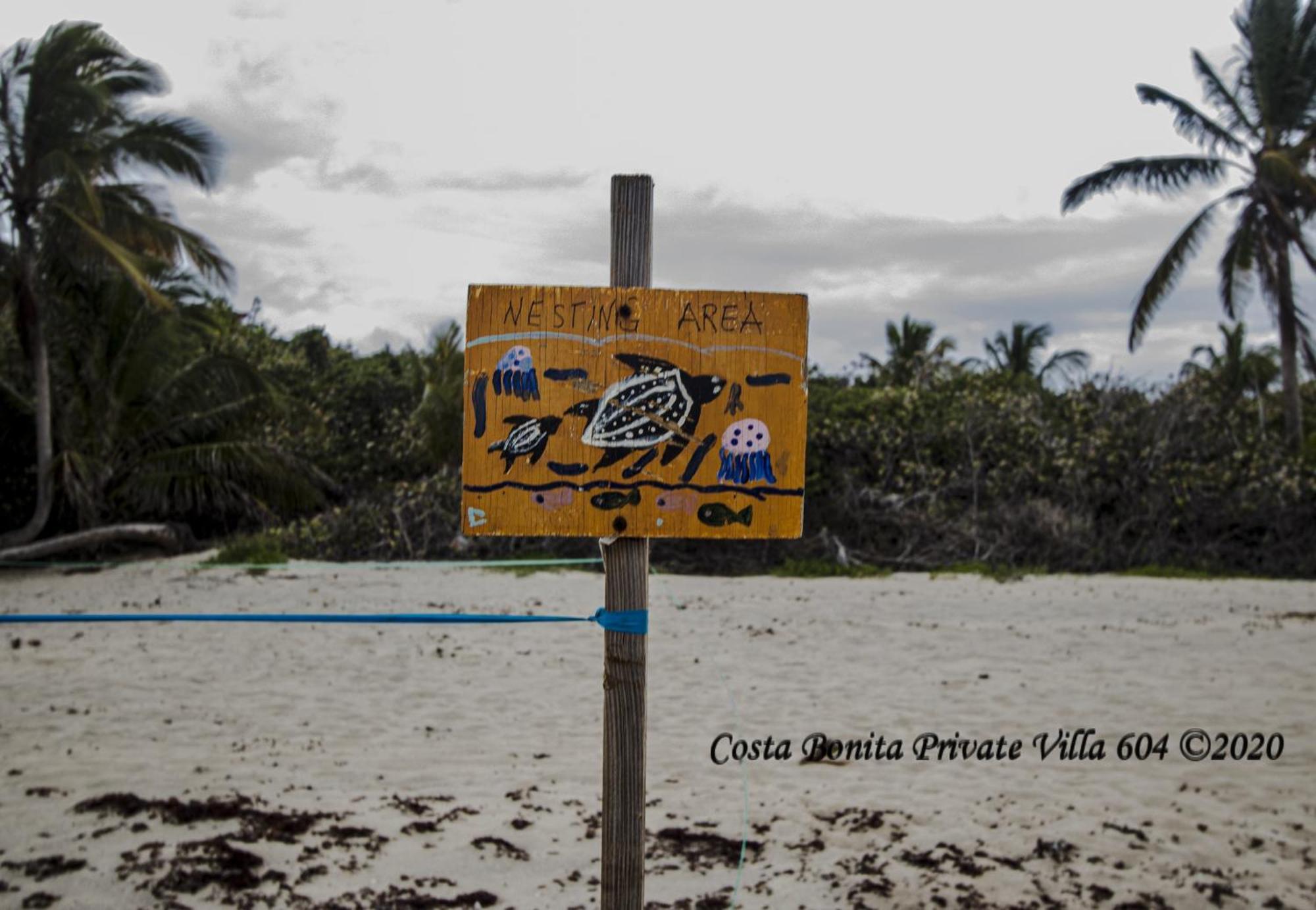Costa Bonita Private Villa 604 Isla Culebra Buitenkant foto